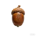 橡果